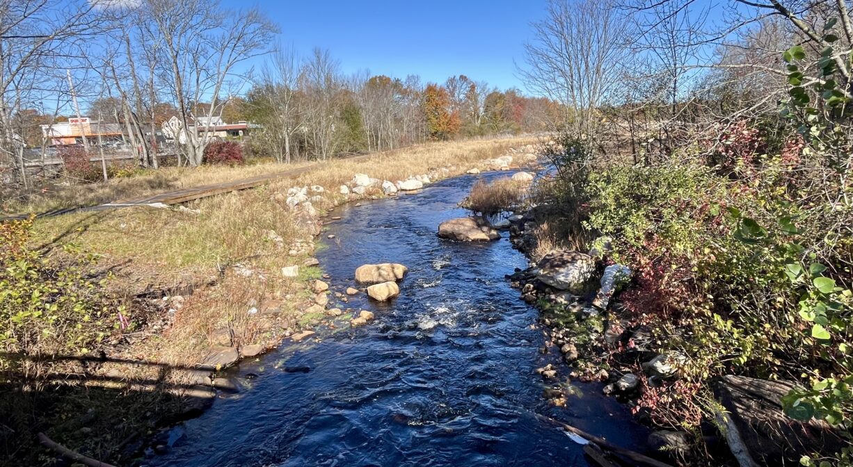 A photograph of a river flowing through a marsh.