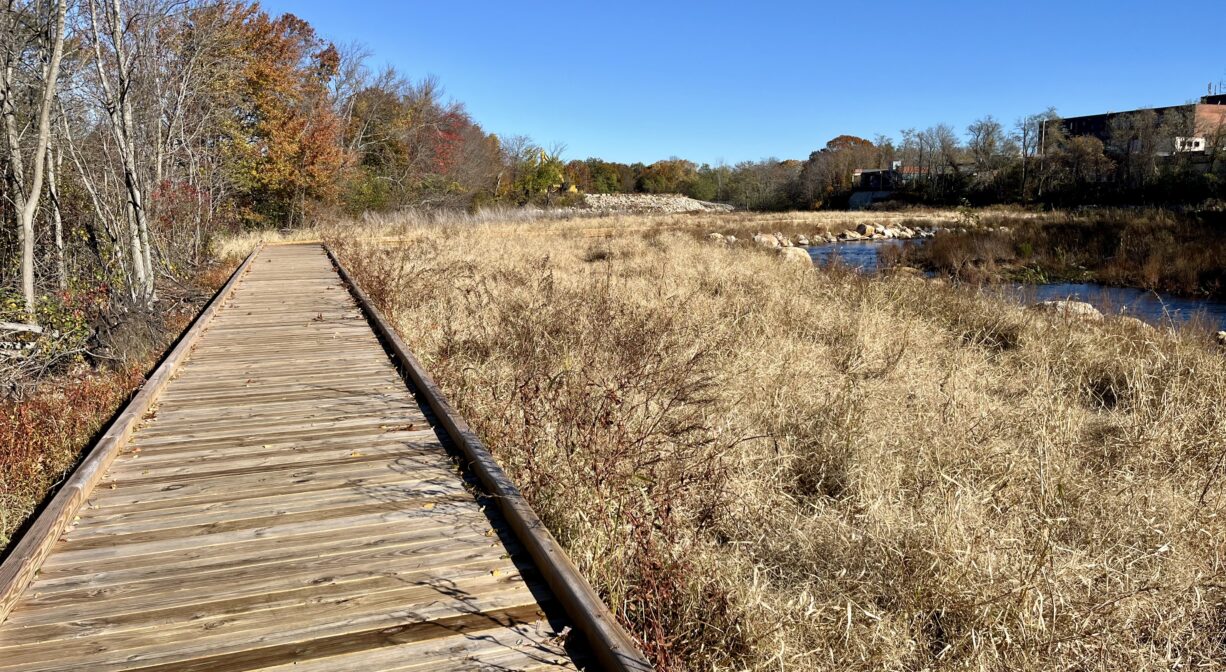 A photograph of a boardwalk extending across a marsh.