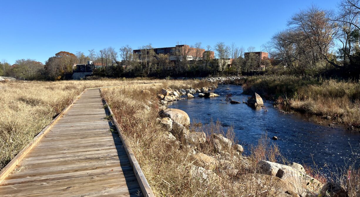 A photograph of a boardwalk extending through a marsh beside a river.