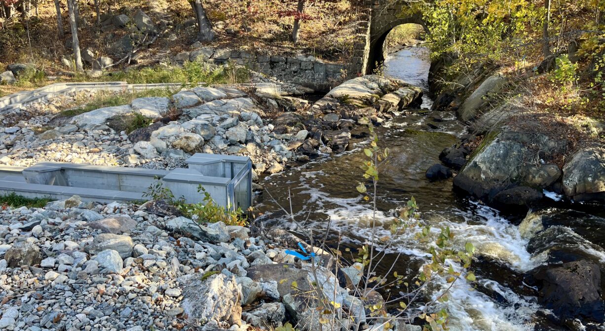 A photograph of a fish ladder beside a river.
