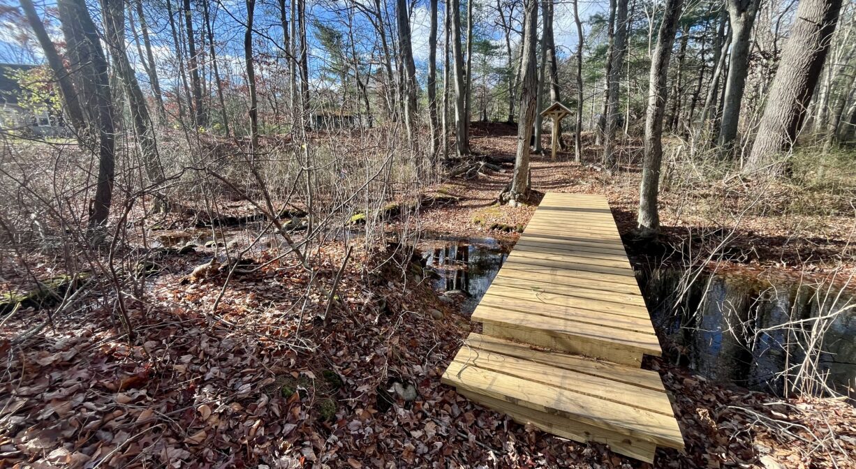A photograph of a footbridge crossing a stream in a forest.