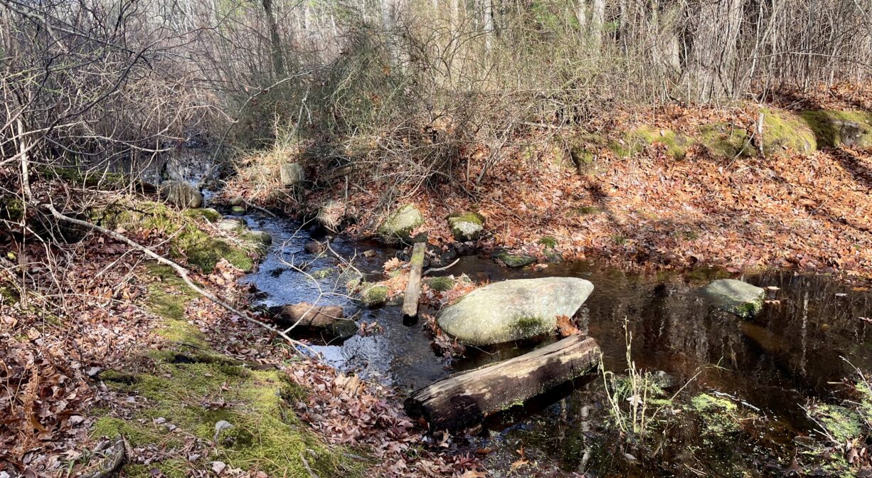 A photograph of a stream in a forest.
