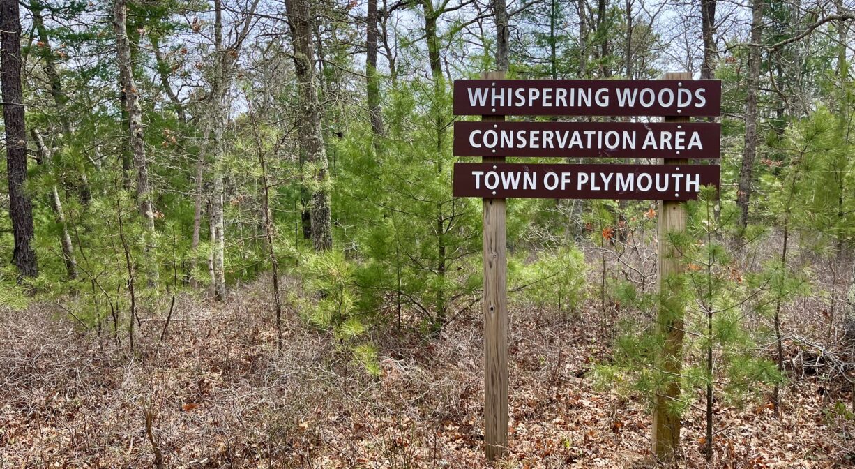 A photograph of a property sign in a forest.