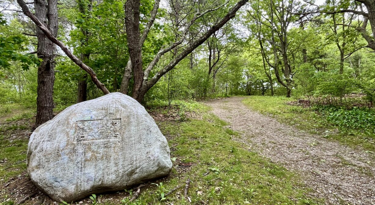 A photograph of a boulder beside a trail in a forest with grass in the foreground.