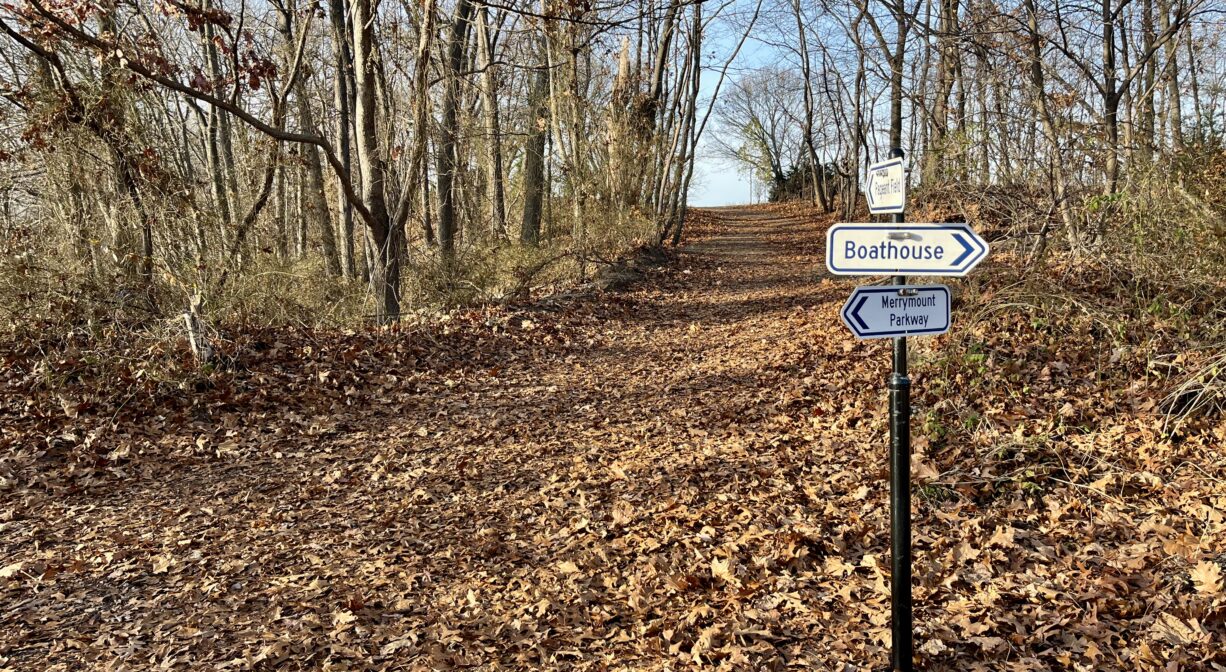 A photograph of a forest trail with a multi-directional wayfinding sign.