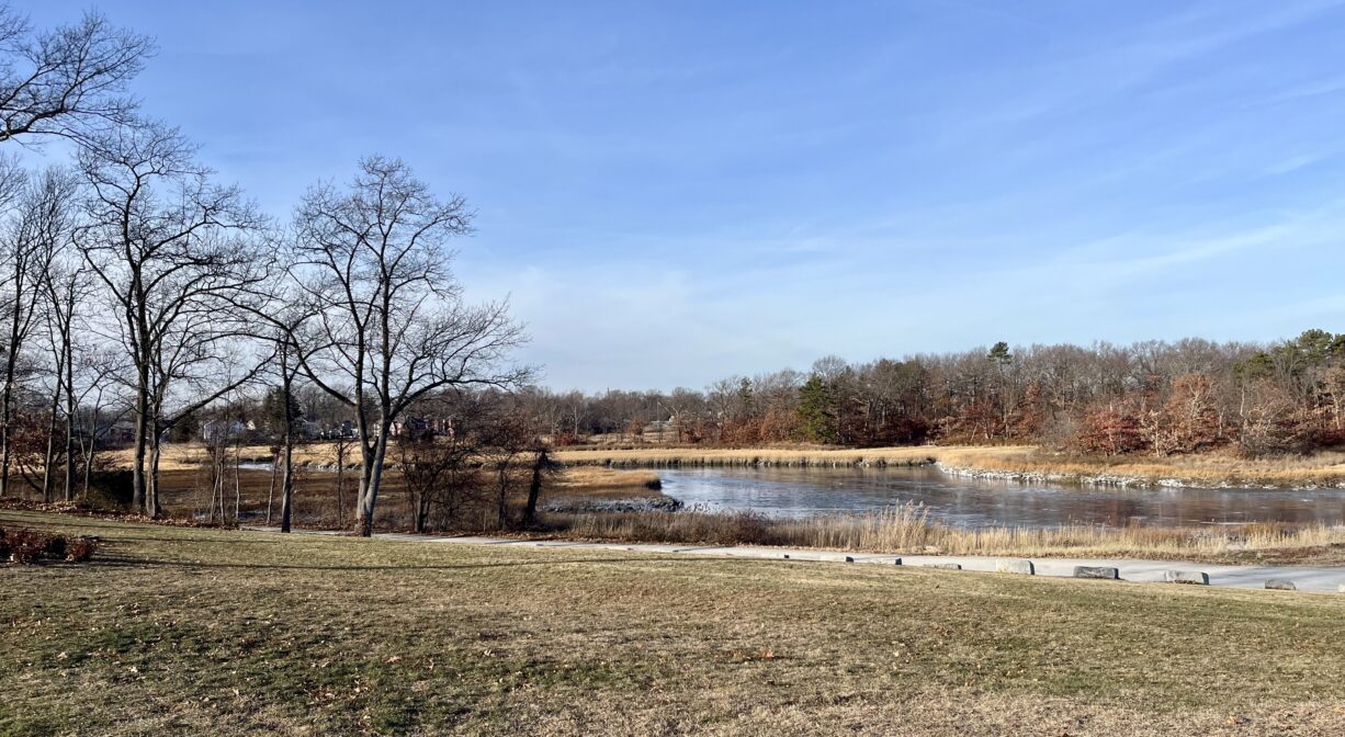 A photograph of a marsh creek beside a grassy park.