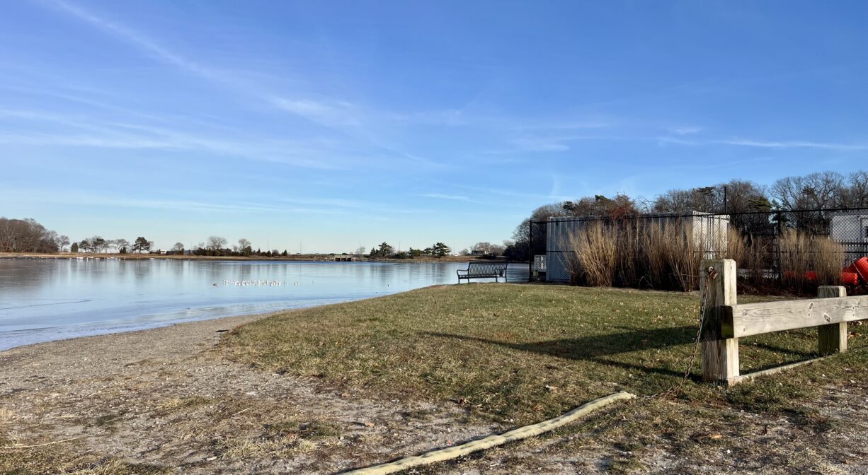 A photograph of a boat launch area beside a marsh creek.