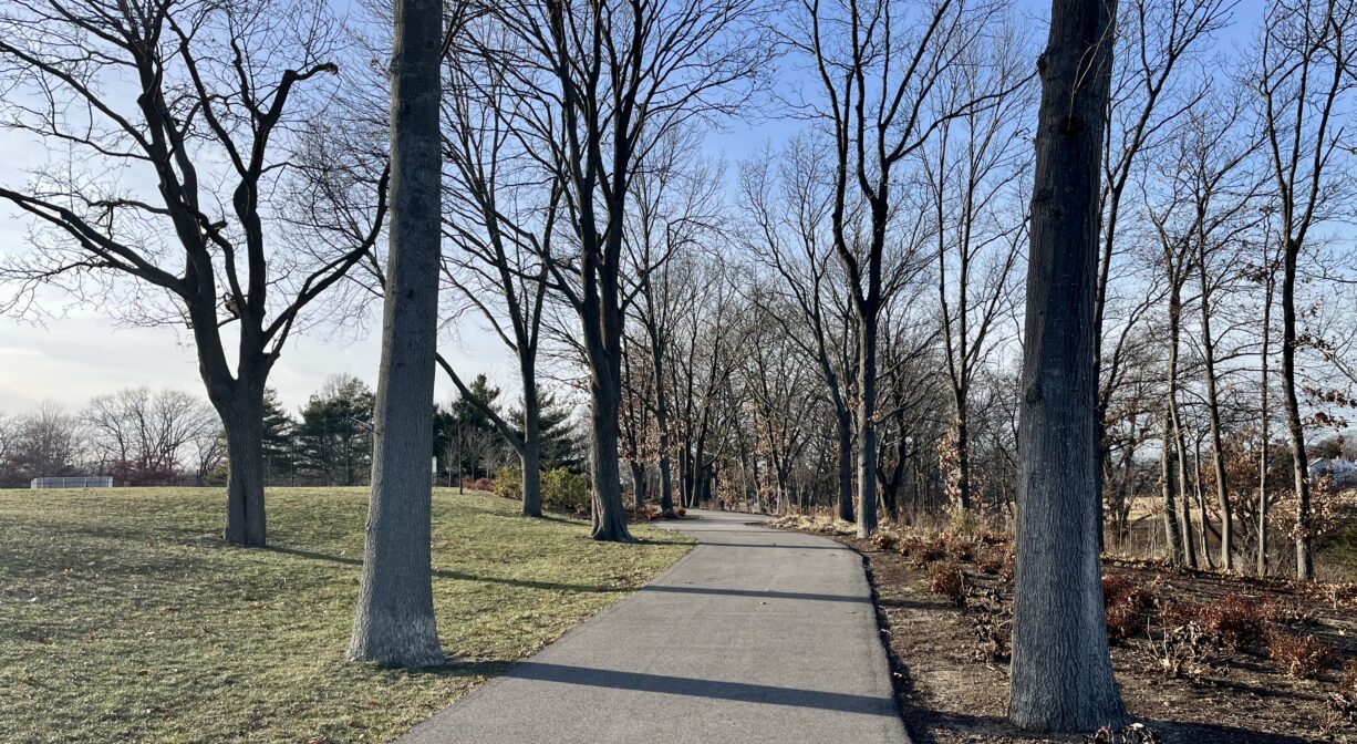 A photograph of a wide paved trail in a grassy park.