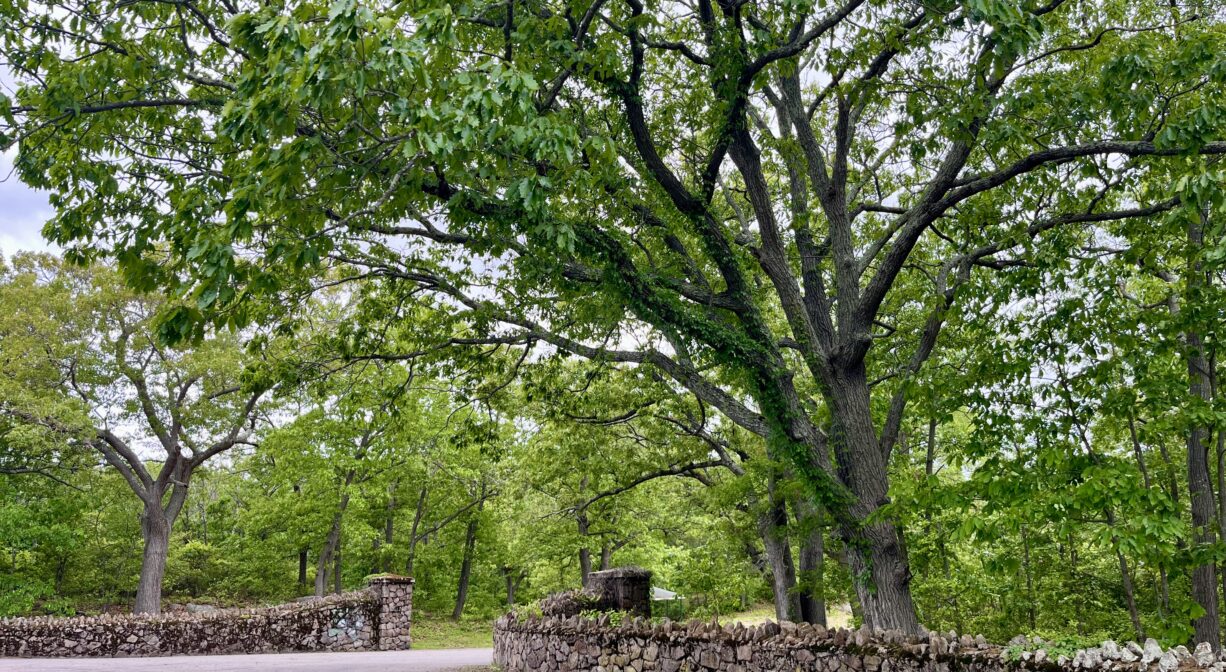 A photograph of a park roadway lined with stone walls, with green trees.