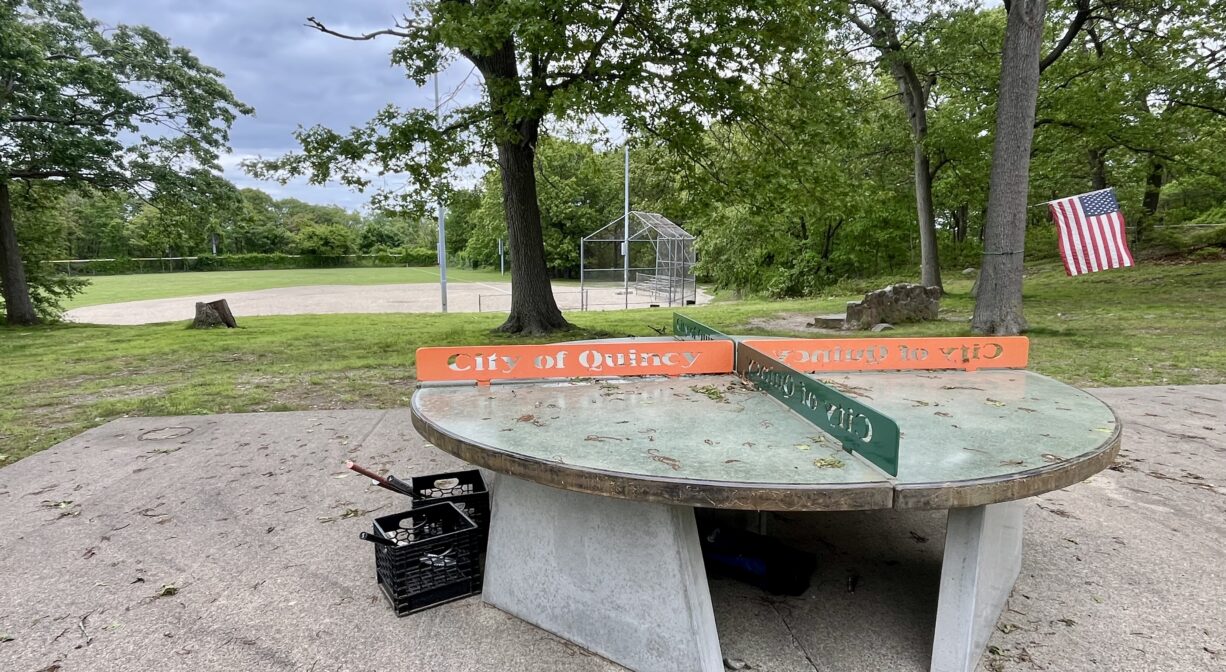 A photograph of a ping pong table in a park.