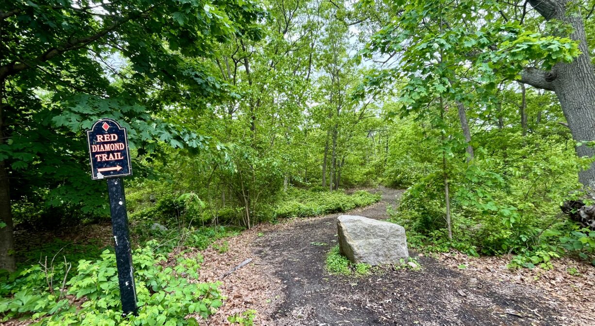 A photograph of a forest trailhead with a large rock and a trail sign.