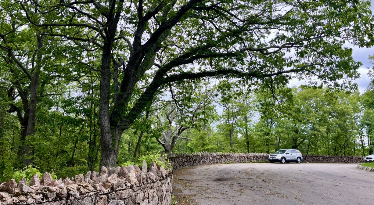 A photograph of a park roadway bordered with a stone wall, with a vehicle in the distance and a tree in the foreground.