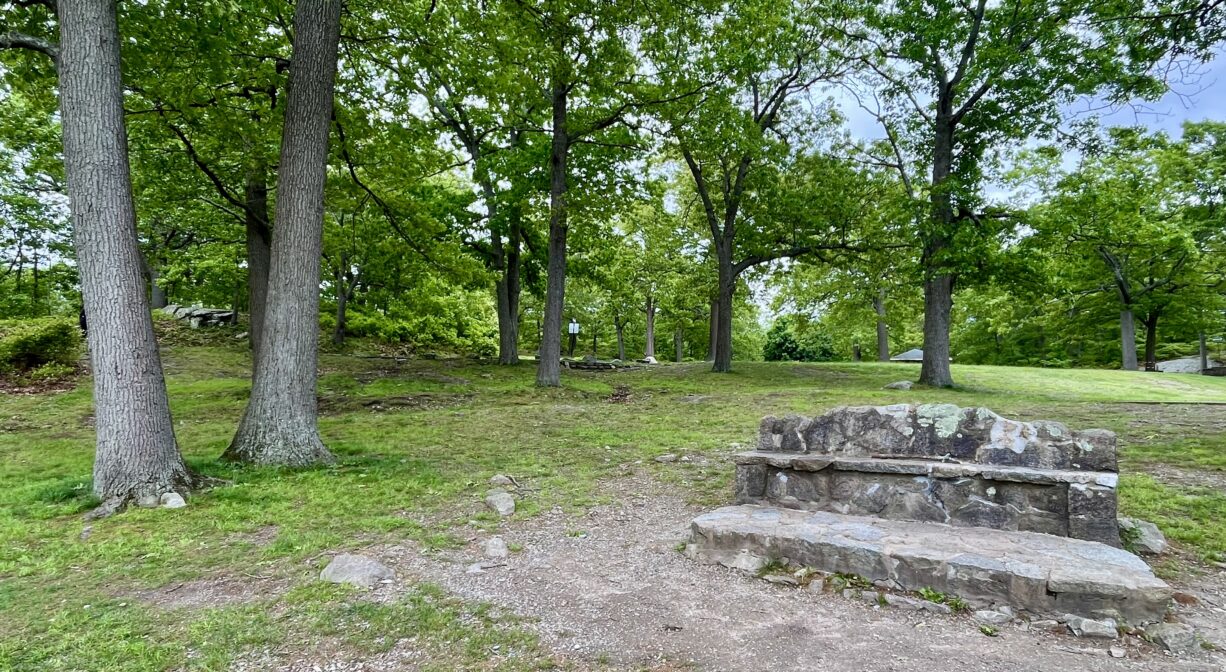 A photograph of a stone bench in a grassy park with several trees.