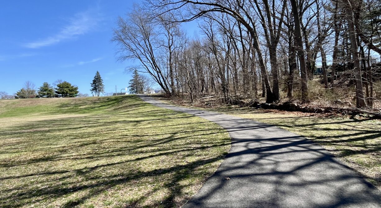A photograph of a paved trail on a grassy hillside in a park.