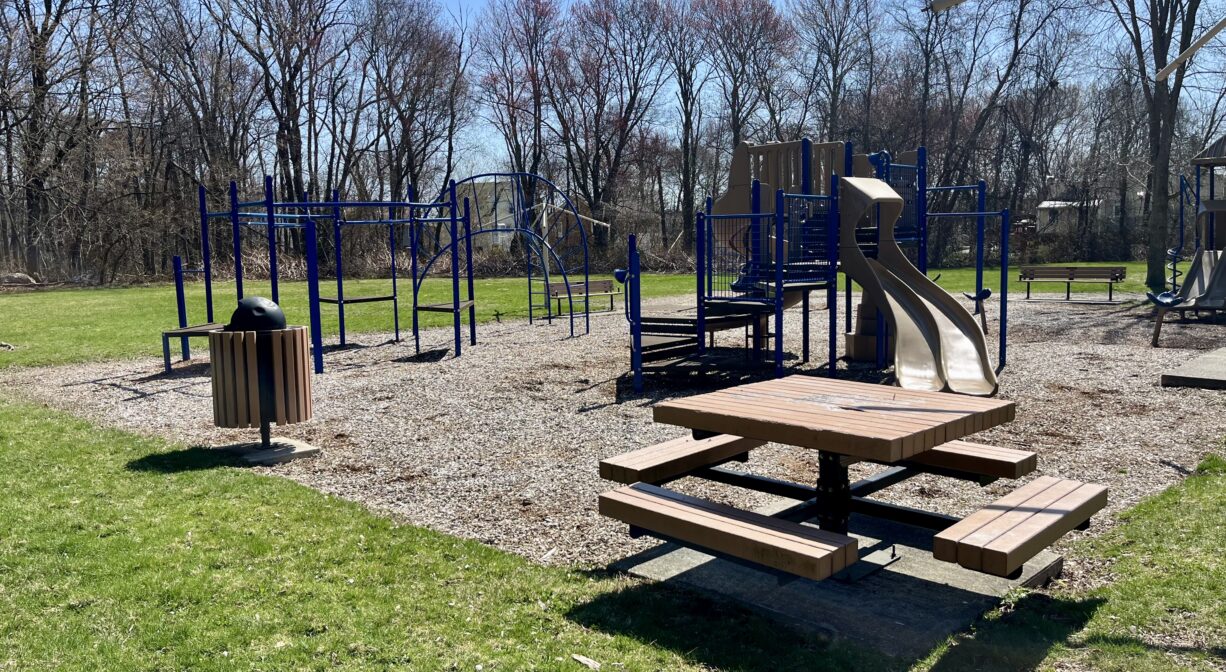 A photograph of a picnic table and a playground in a park.