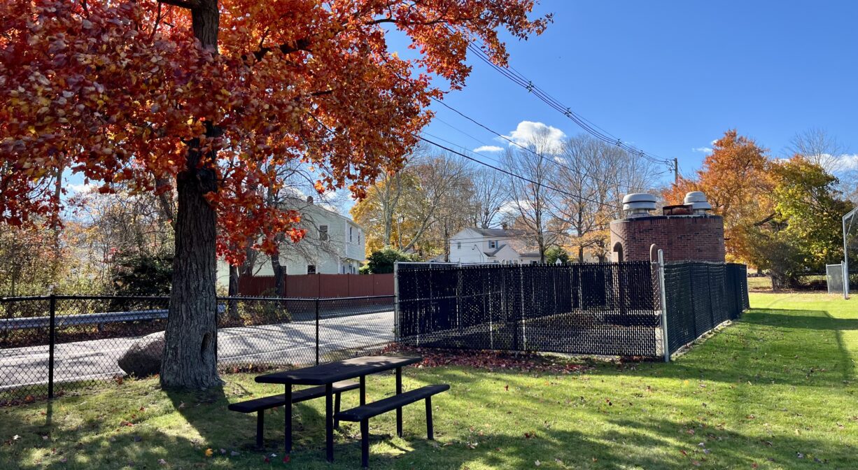A photograph of apark with a picnic table and a colorful tree in the foreground and a fenced in area in the background.