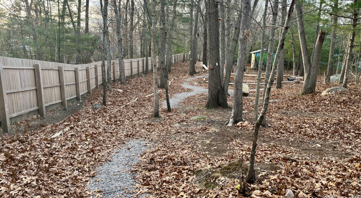 A photograph of a crushed stone trail winding through a woodland.