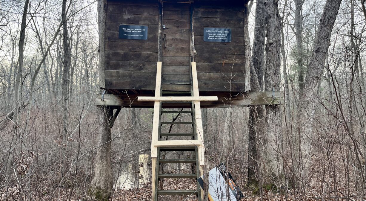 A photograph of a treehouse with a ladder in a forest.