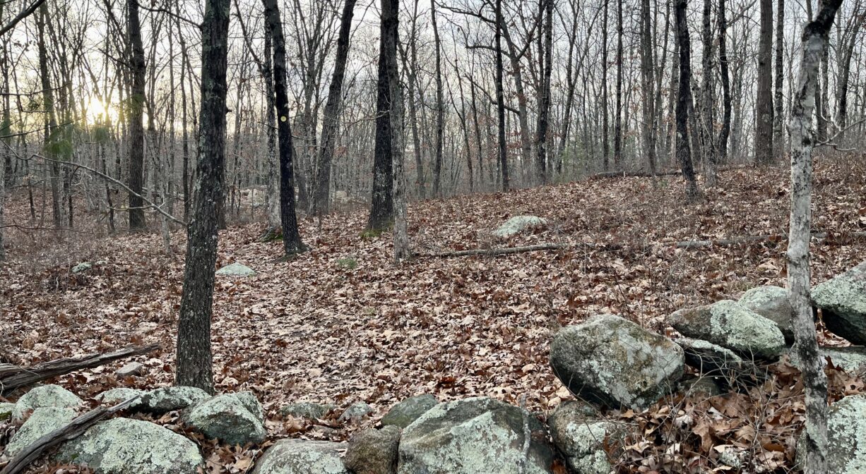 A photograph of a forest trail in late autumn with an old stone wall.