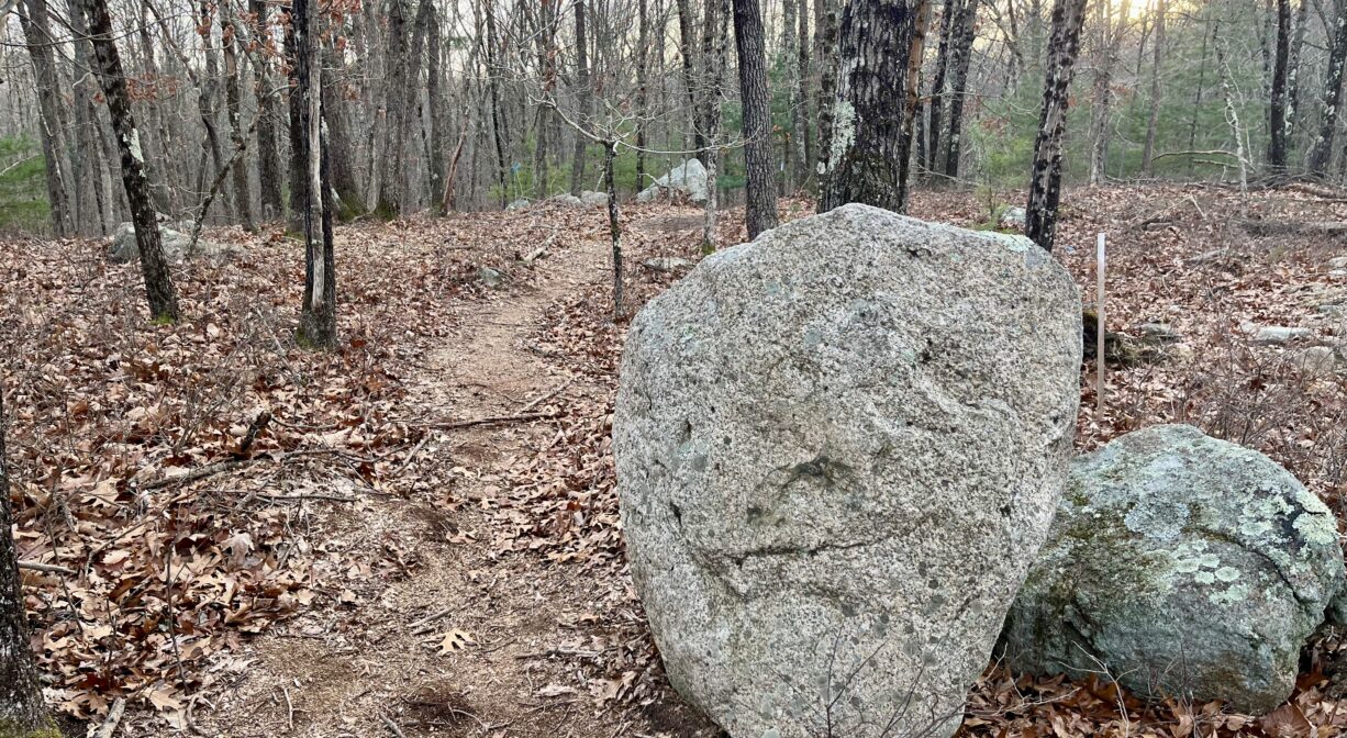 A photograph of a trail through a forest with two large boulders to one side.