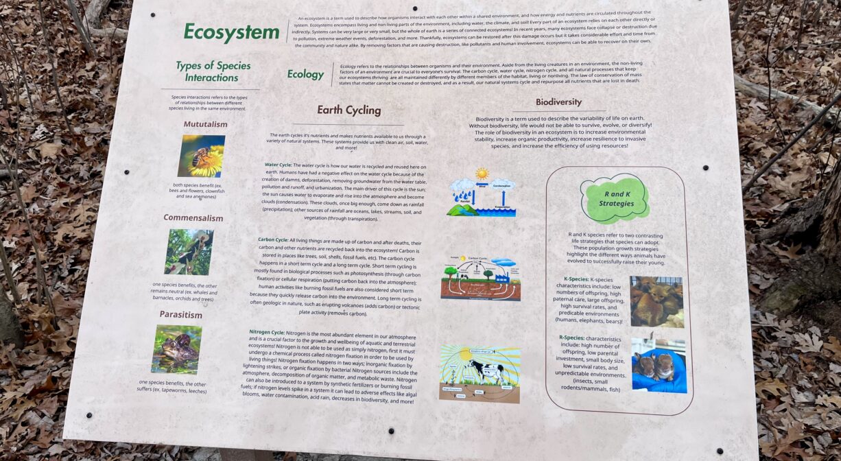 A photograph of an interpretive sign in a forest.