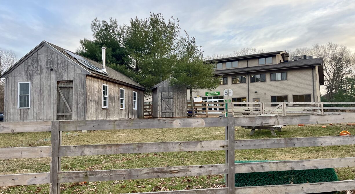 A photograph of a barn and a barnyard.