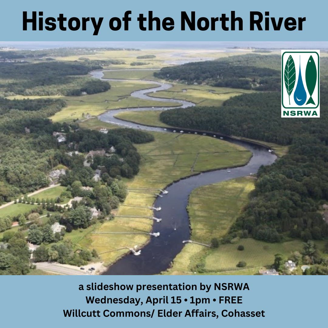 An aerial photograph of a river and salt marsh.