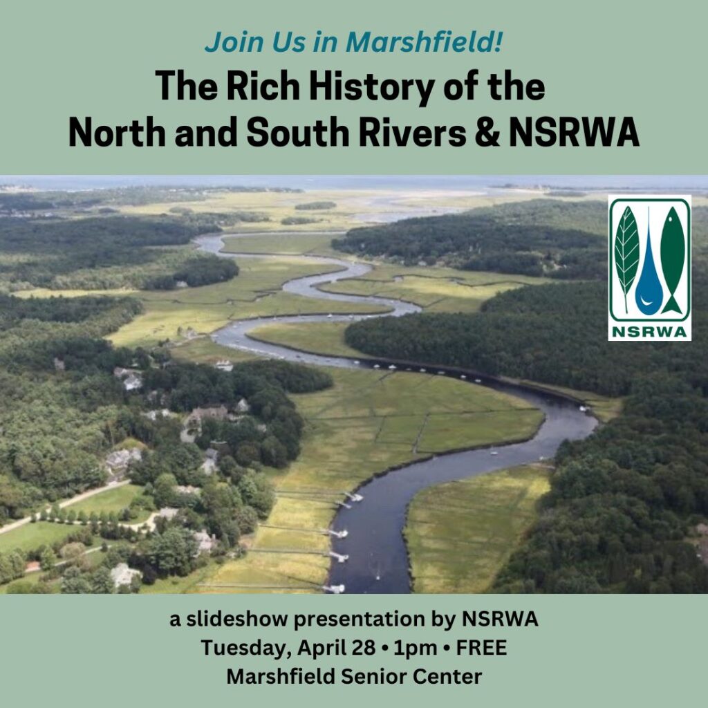 An aerial photograph of a coastal river.