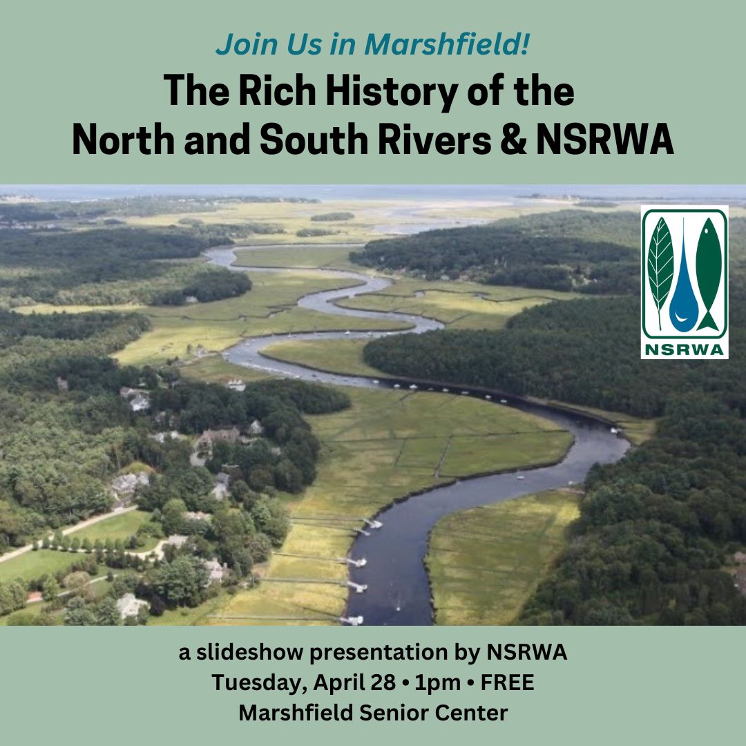 An aerial photograph of a coastal river.