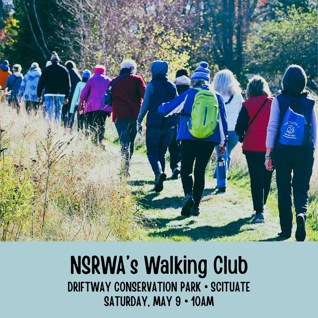 A photograph of a long line of adults walking along a grassy path.