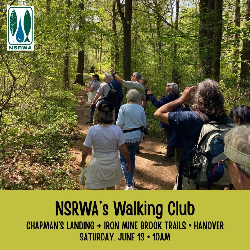 A photograph of a group of adults on a forest trail.