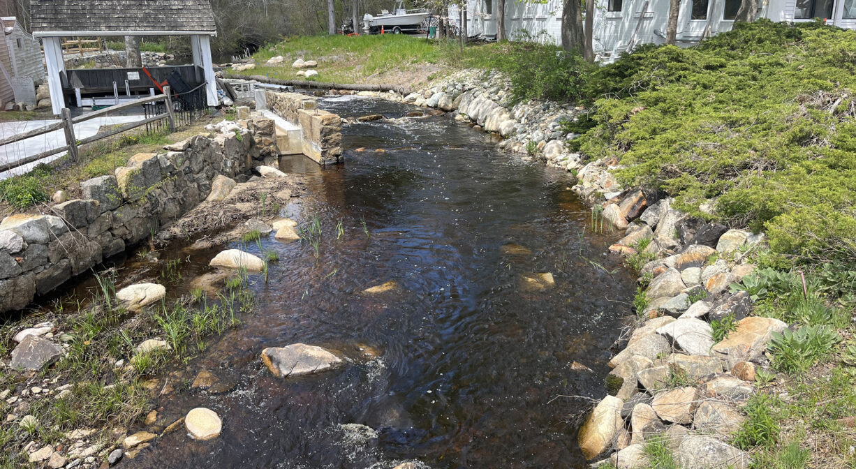 A photograph of a river flowing through a grassy green park.