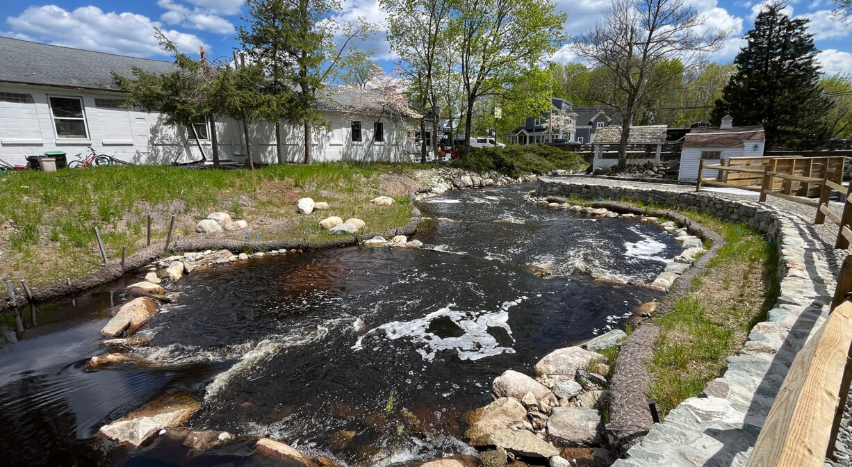 A photograph of a river flowing through a grassy green park.