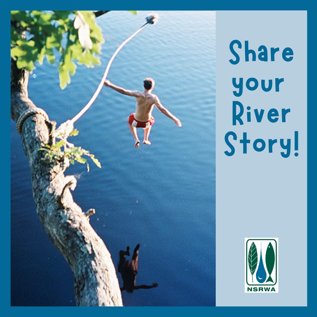 A photograph of a man using a rope swing to jump into a river.