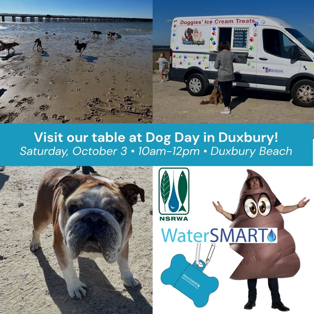 Dog Day Duxbury 2026
